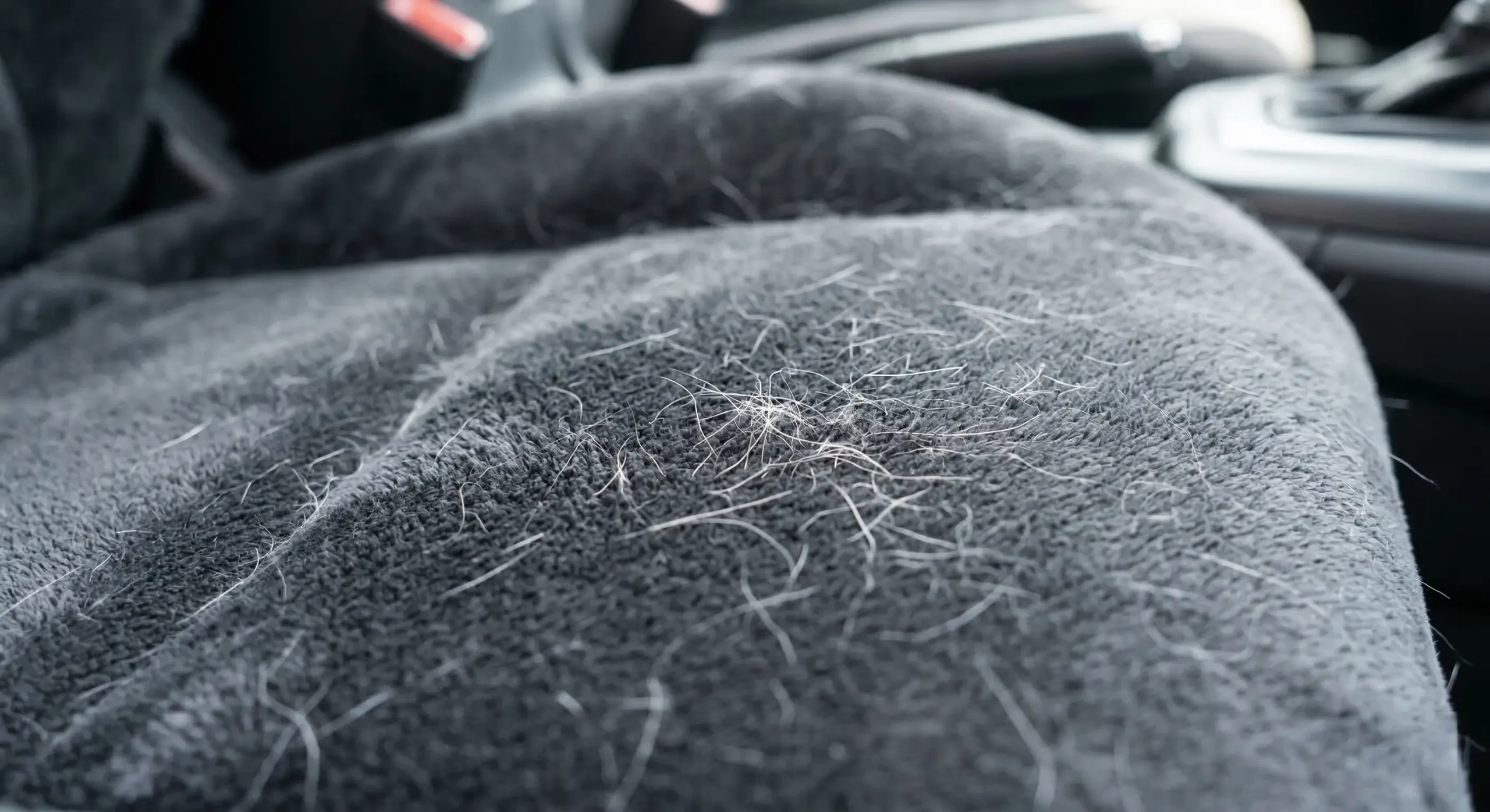 Pet hair on a dark fabric car seat